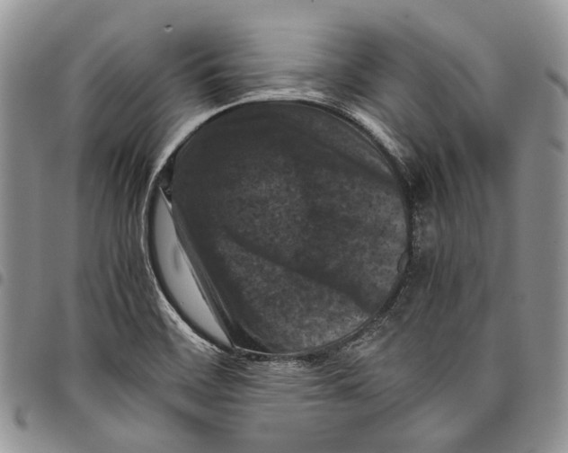 X0000098001468200804141155