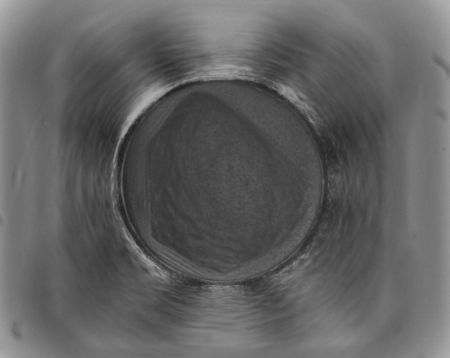 X0000098001469200804141155