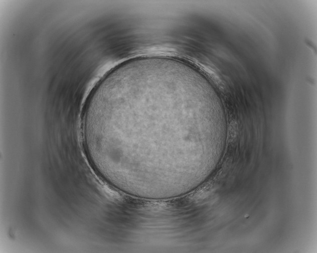 X0000098001470200804141155
