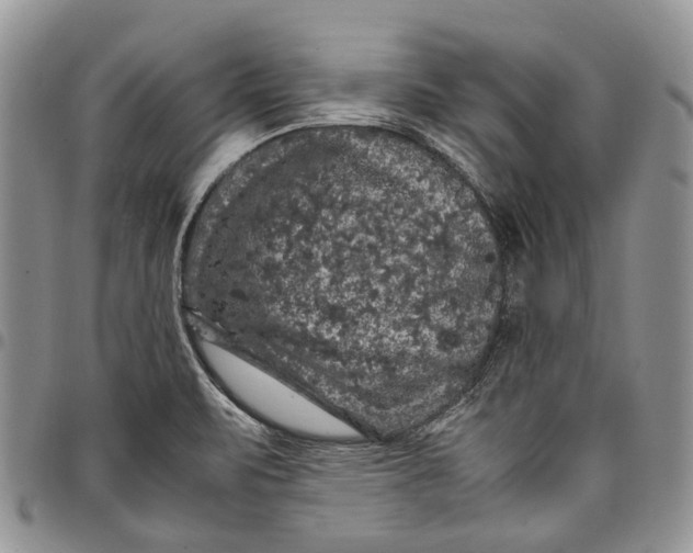 X0000098001471200804141155