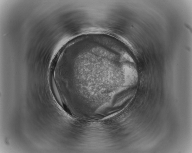 X0000098001472200804141155
