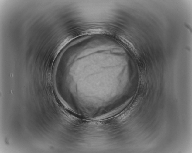 X0000098001473200804141154