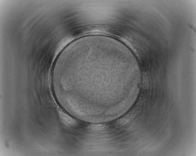X0000098001474200804141154