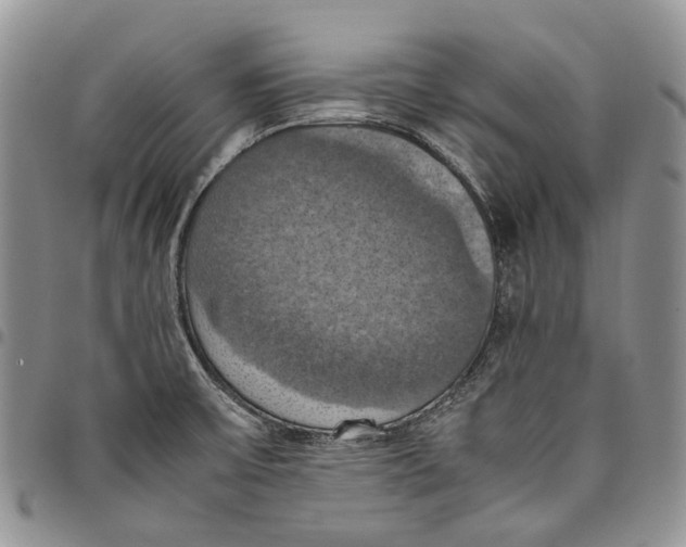 X0000098001475200804141154