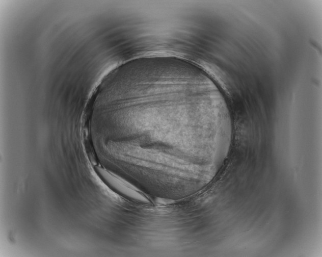 X0000098001476200804141154