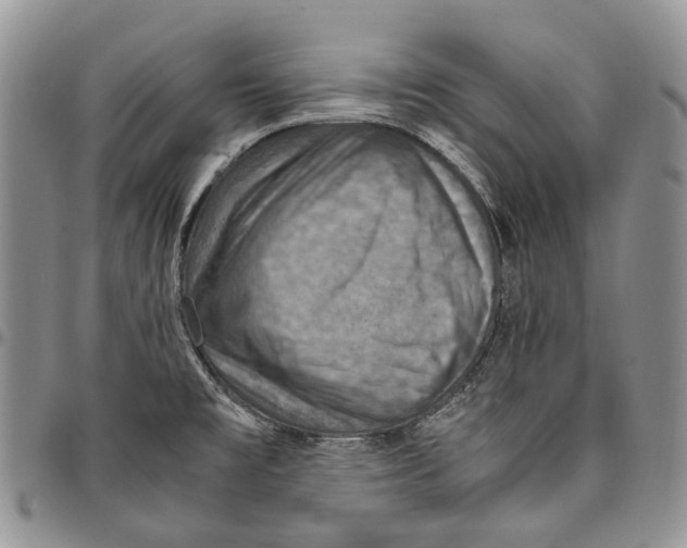 X0000098001477200804141154