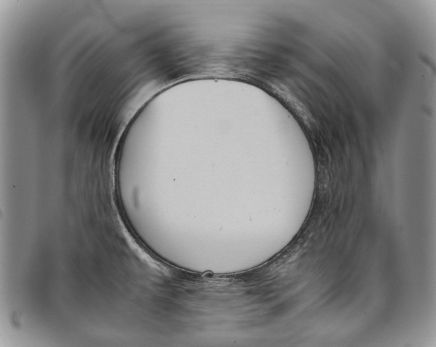 X0000098001479200804141154