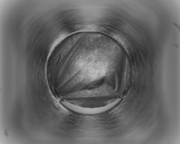 X0000098001480200804141154