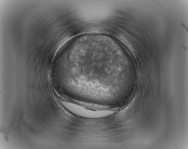 X0000098001481200804141154