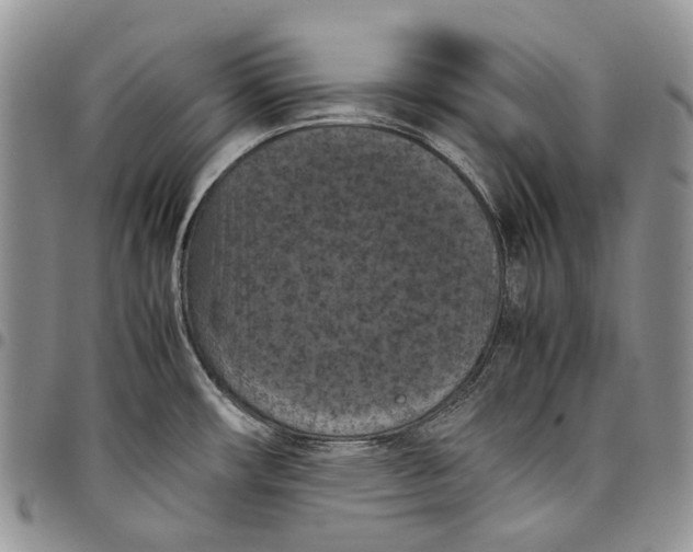 X0000098001482200804141154