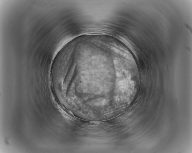 X0000098001485200804141154