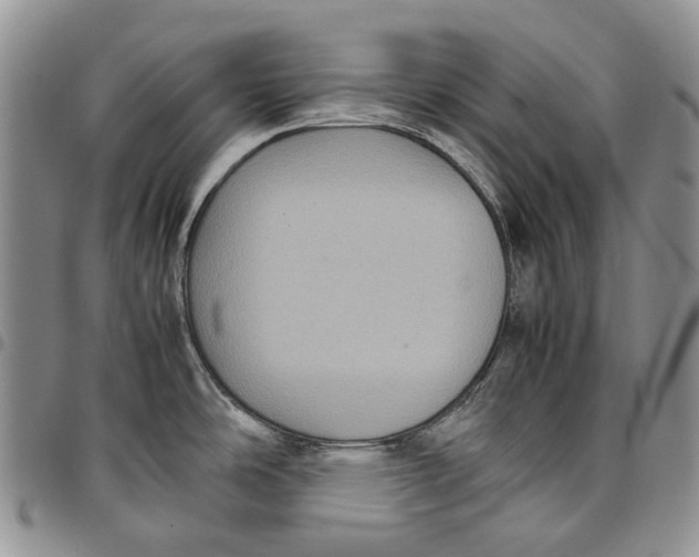 X0000098001486200804141154