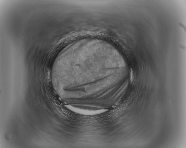 X0000098001492200804141153