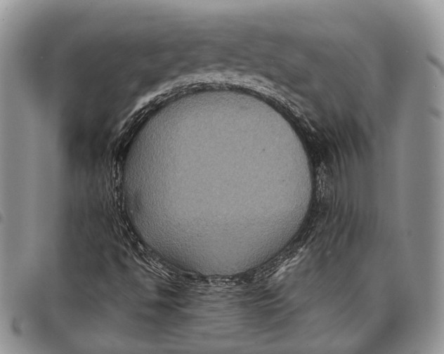 X0000098001494200804141154