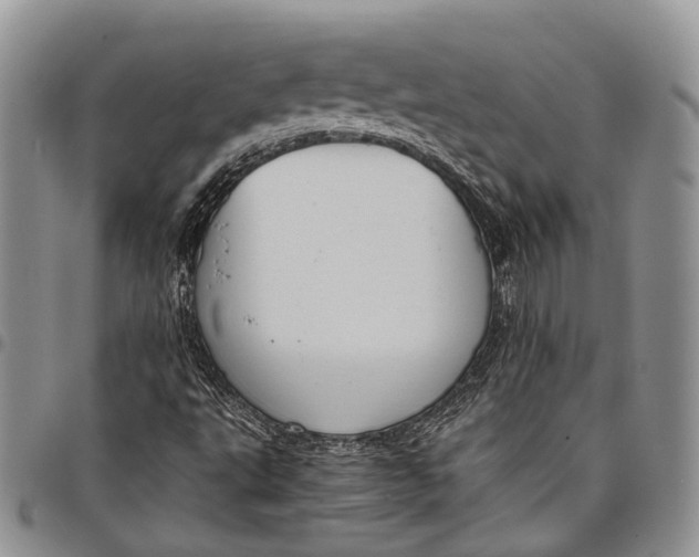 X0000098001495200804141154