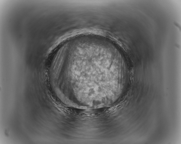 X0000098001496200804141154