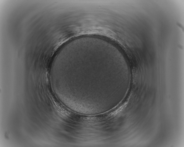 X0000098001497200804141154