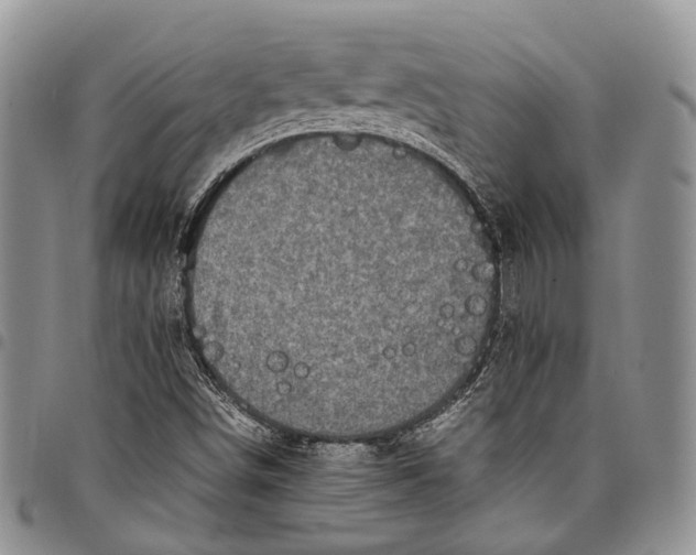 X0000098001498200804141154