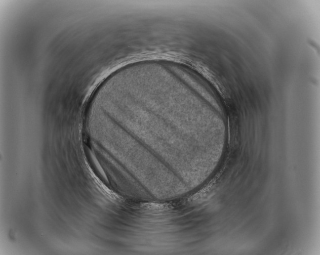 X0000098001500200804141154