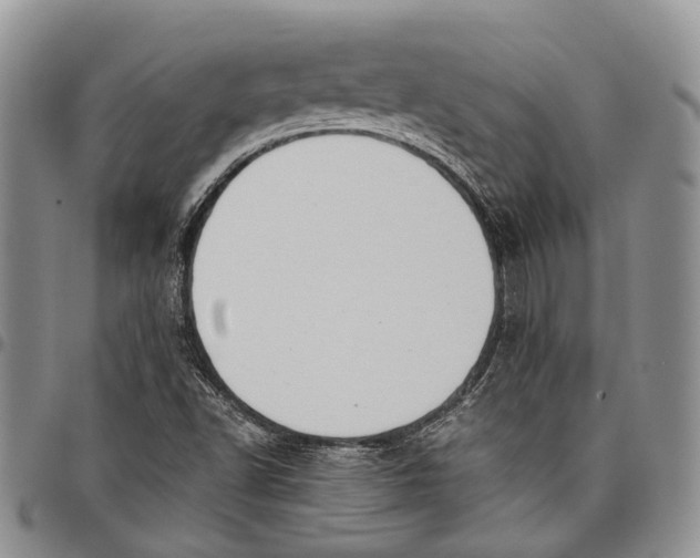 X0000098001502200804141154
