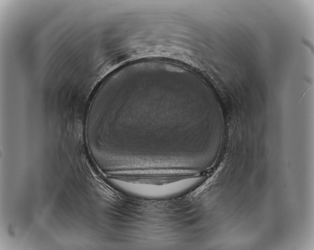 X0000098001505200804141154