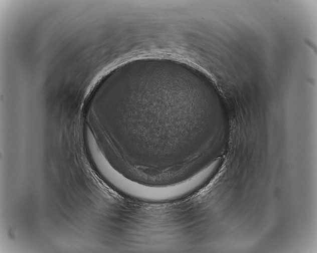 X0000098001506200804141154