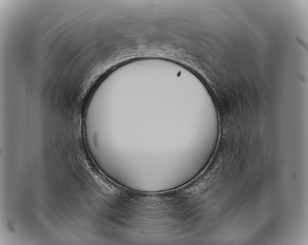 X0000098001507200804141154