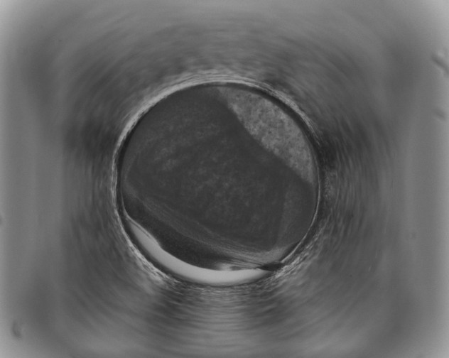 X0000098001508200804141154