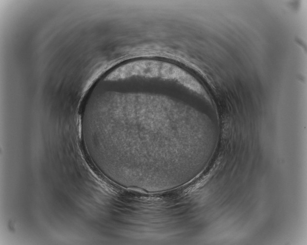 X0000098001509200804141154