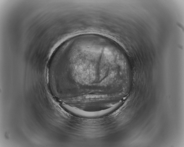 X0000098001510200804141154