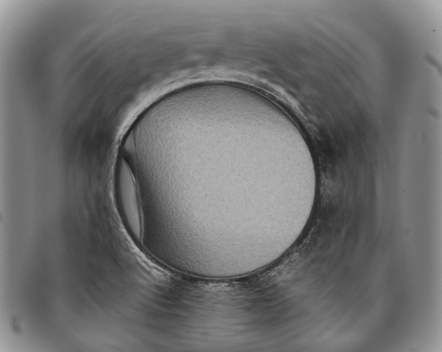 X0000098001512200804141154