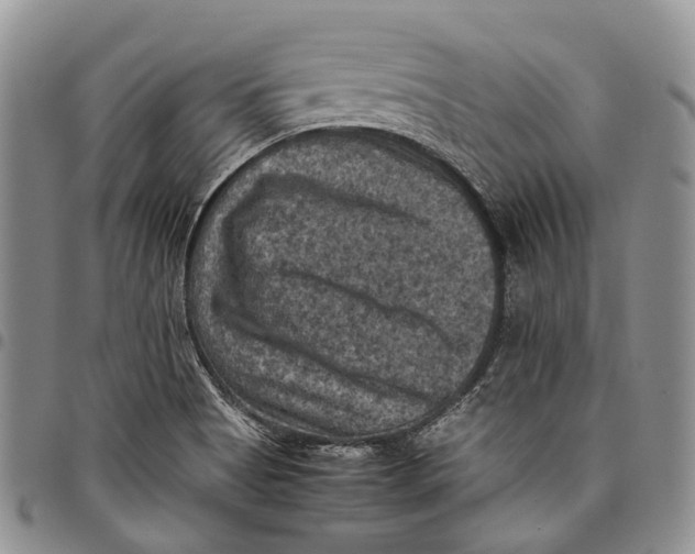 X0000098001513200804141154