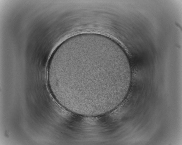 X0000098001514200804141154