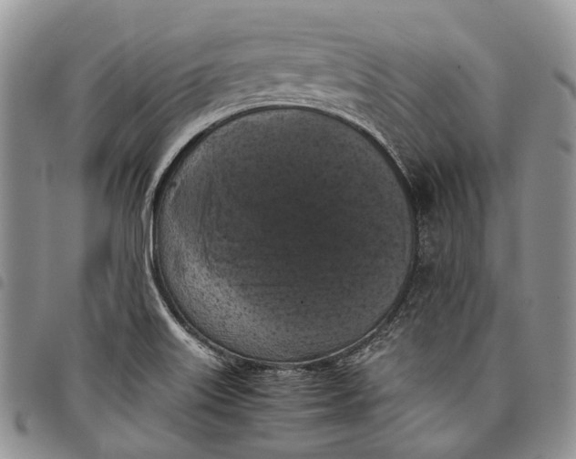 X0000098001515200804141154