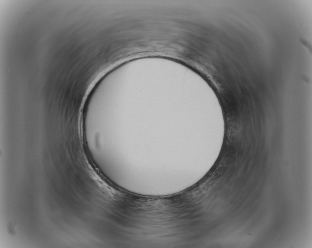 X0000098001516200804141154