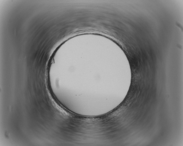 X0000098001518200804141154
