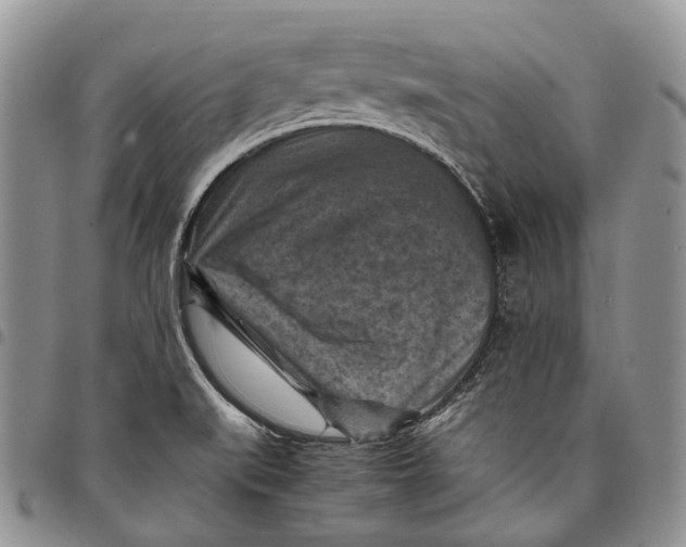 X0000098001519200804141154