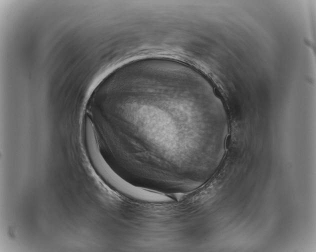 X0000098001520200804141154