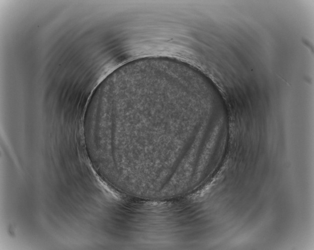 X0000098001521200804141154