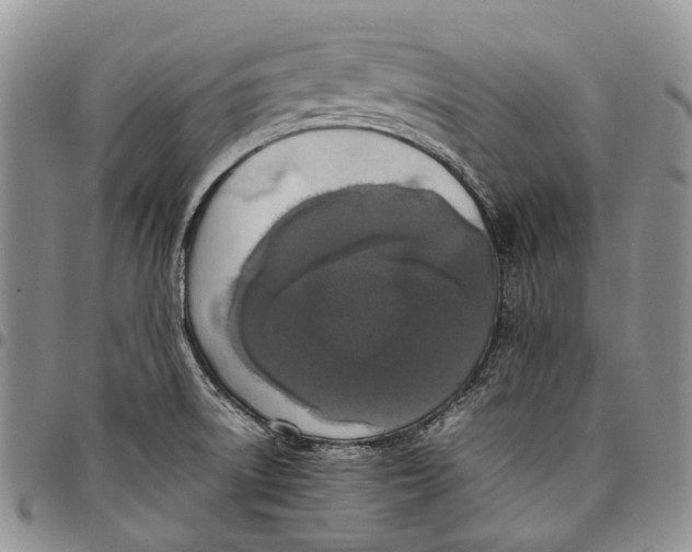 X0000098001522200804141154