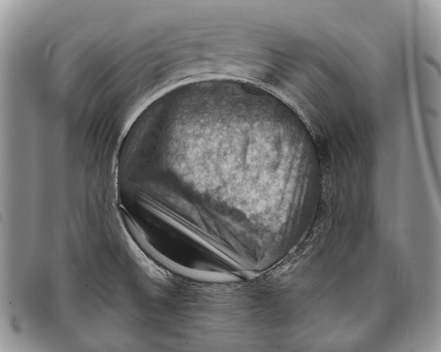 X0000098001524200804141154