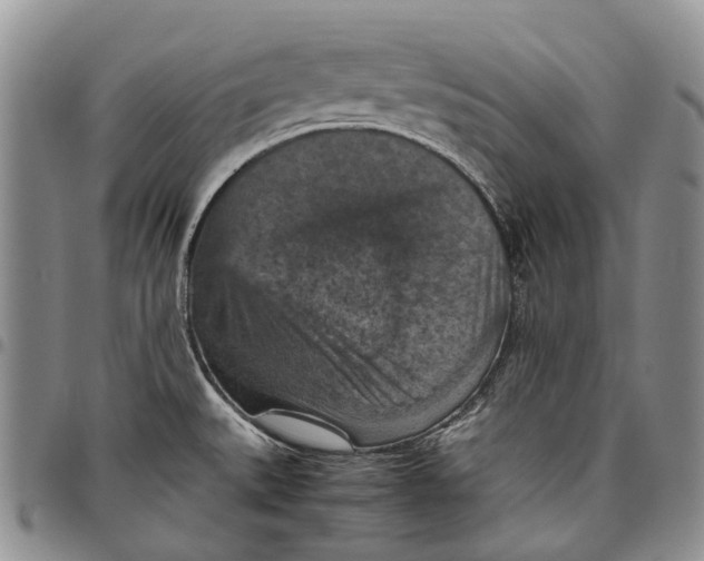 X0000098001527200804141154