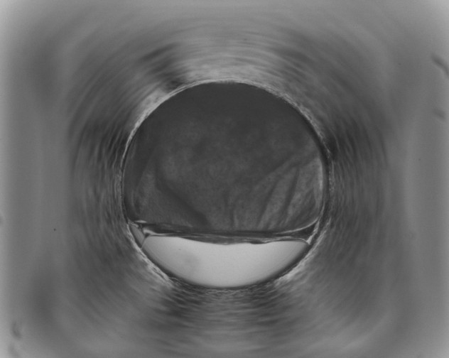 X0000098001529200804141154