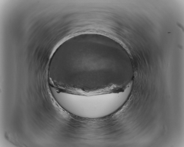 X0000098001530200804141154