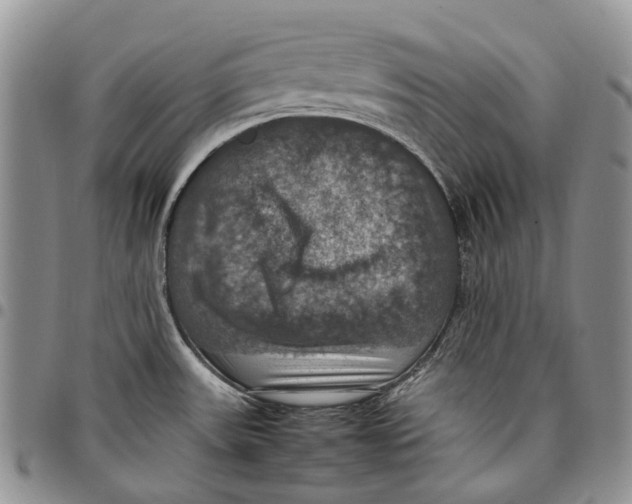 X0000098001531200804141154