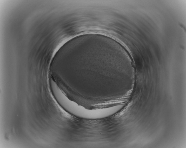 X0000098001533200804141154