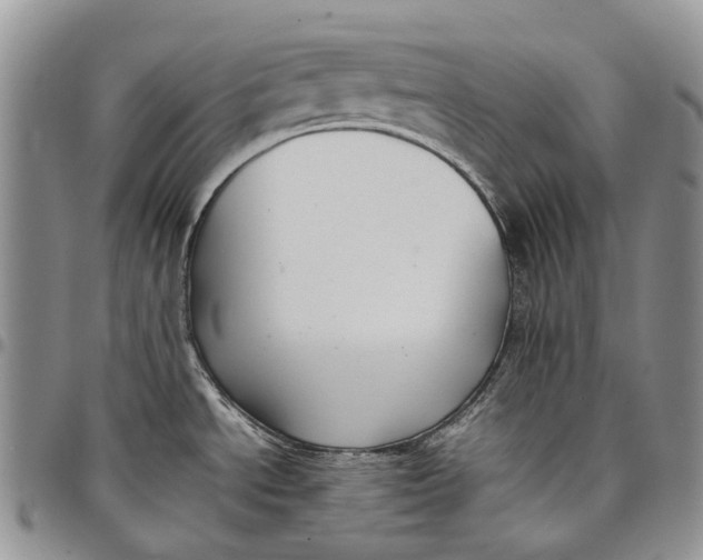 X0000098001534200804141154