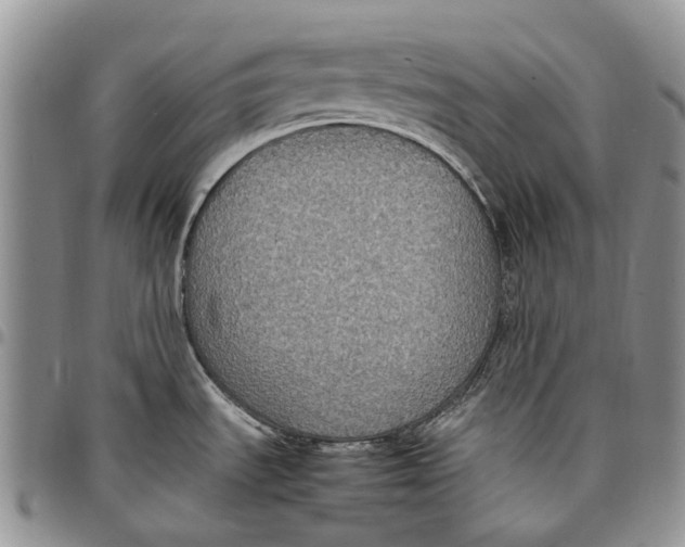X0000098001535200804141154