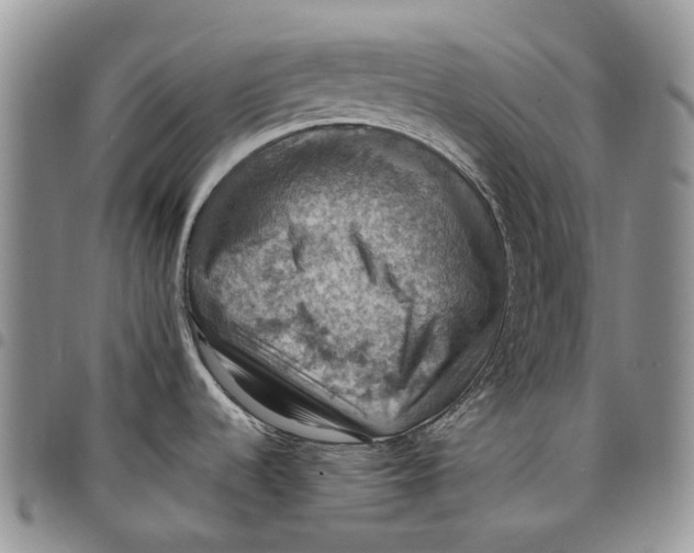 X0000098001536200804141154