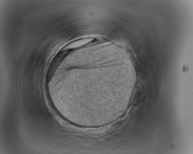 X0000098000001200804211144